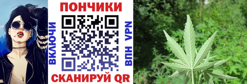 где можно купить наркотик Шуя Конопля марихуана